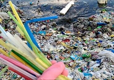 New Zealand bans more single-use plastics from Oct. 
